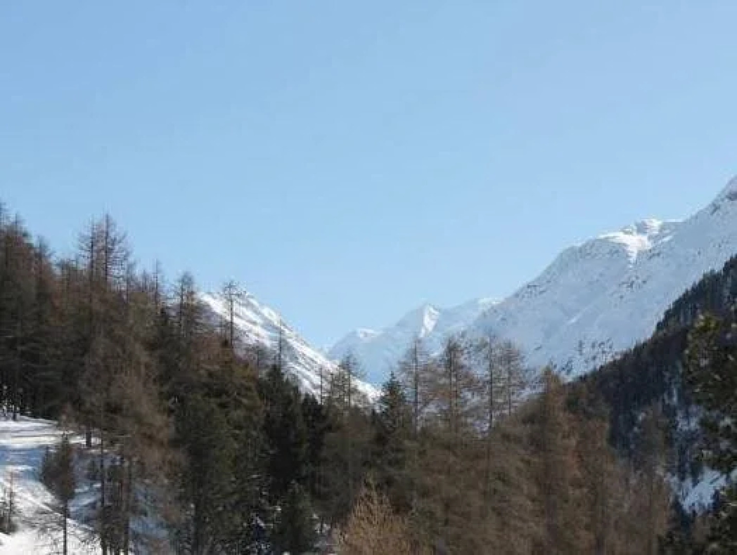 Hotel-Pension Hauser