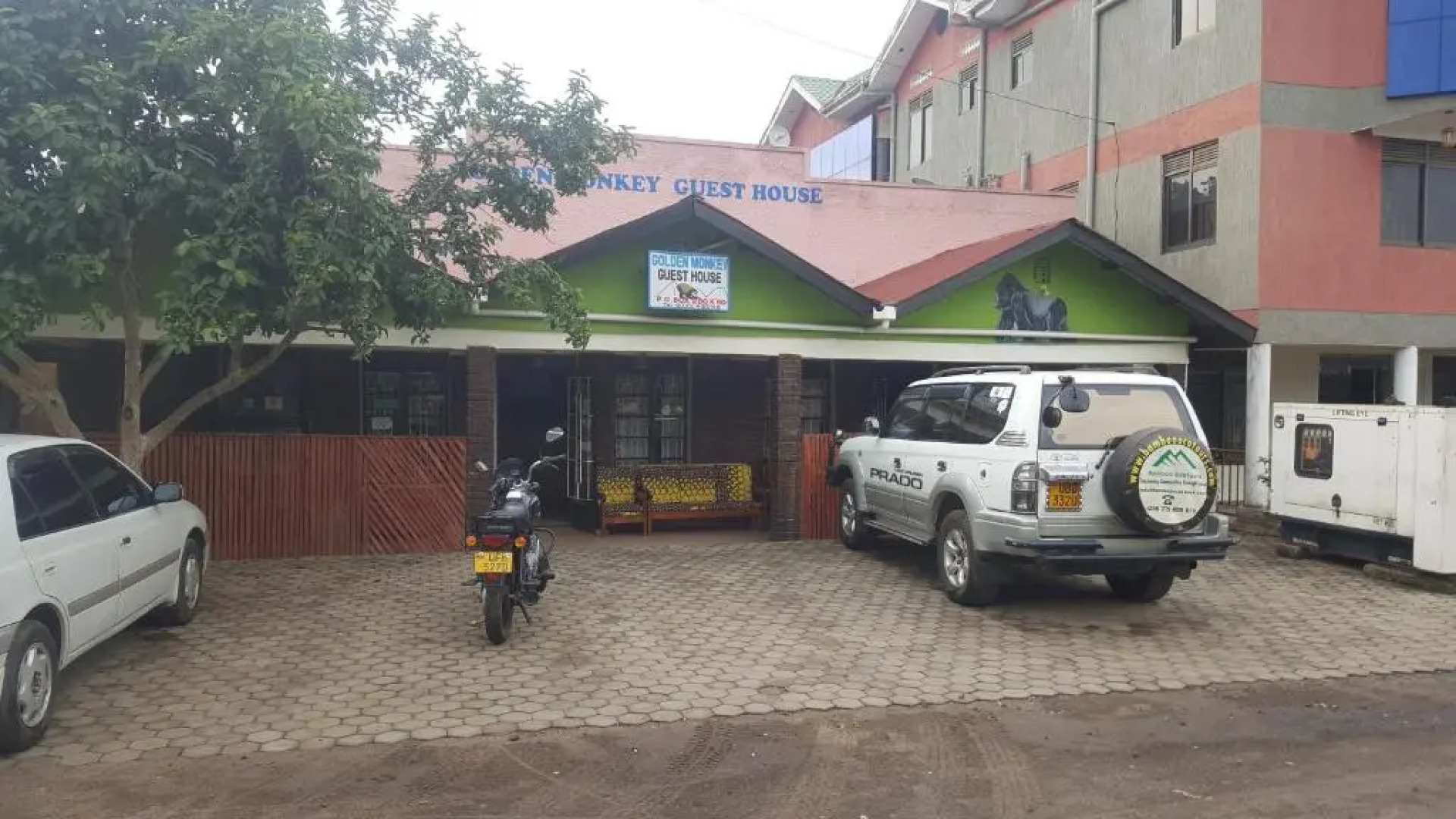 Golden monkey guest house