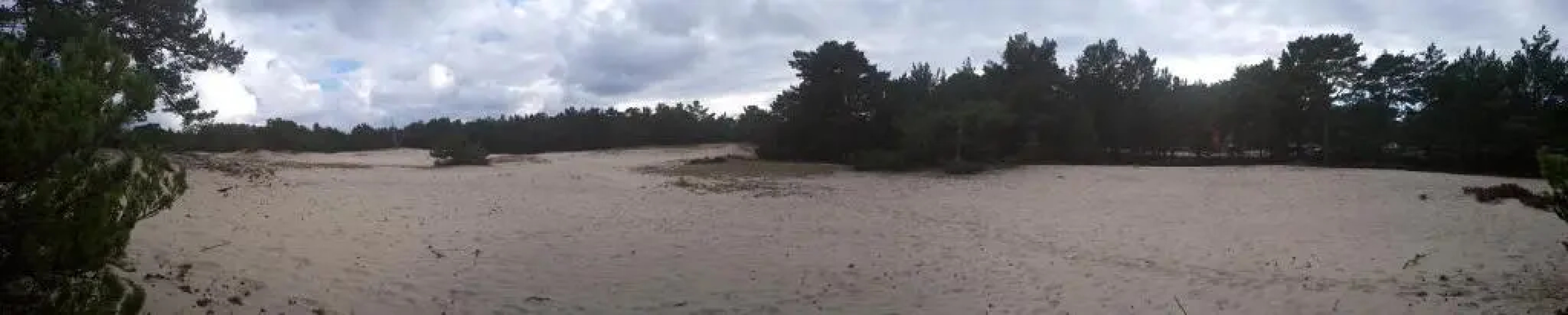 Na Wydmach. Spokój. Cisza. Las dookoła