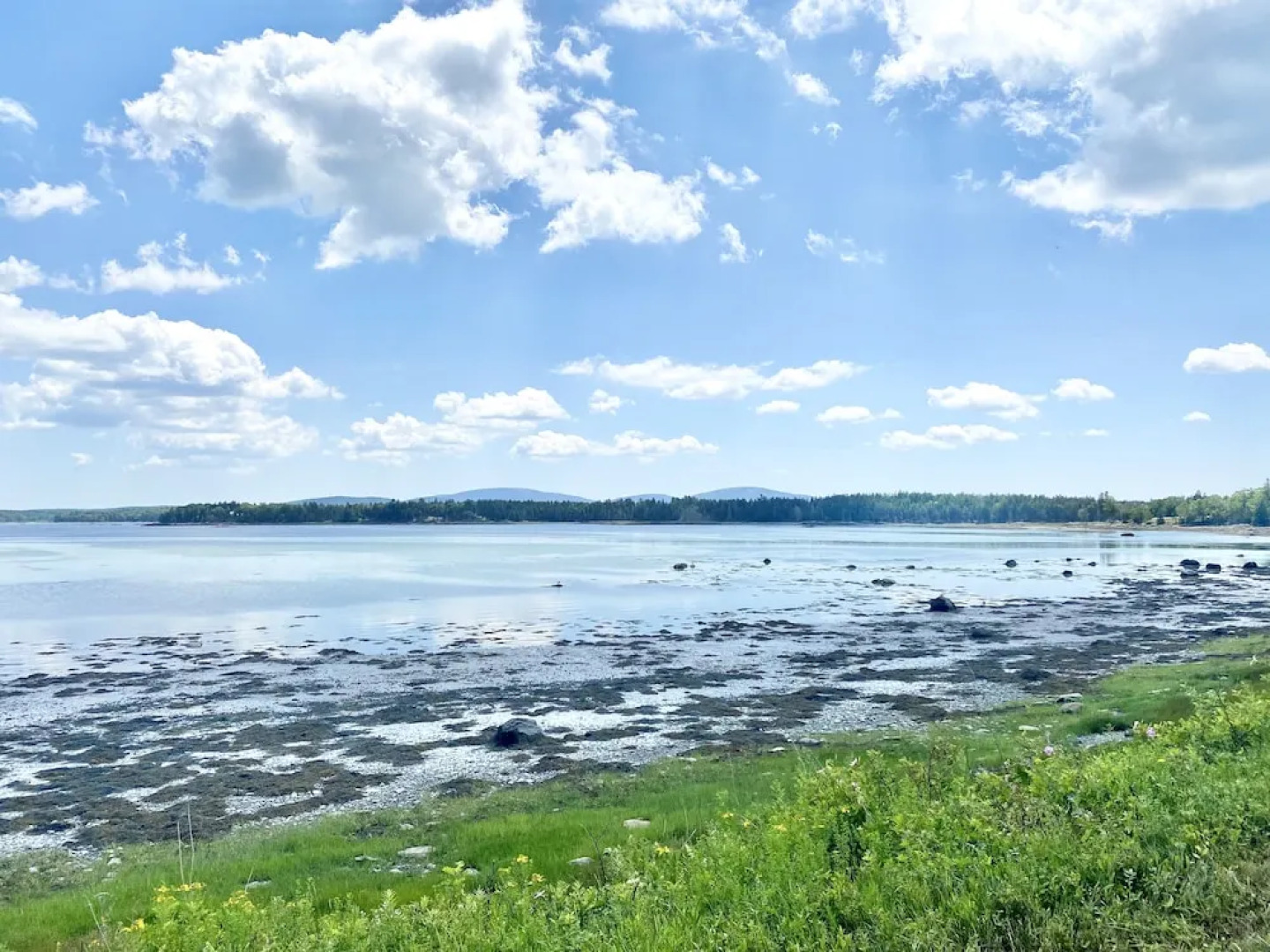 Island View Hotel Bar Harbor
