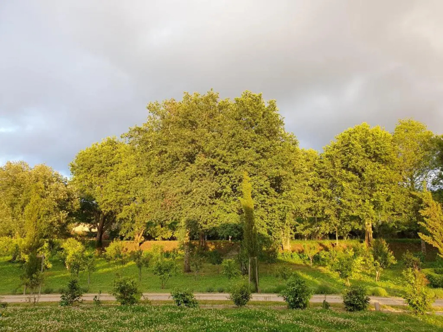 Quinta das Essencias