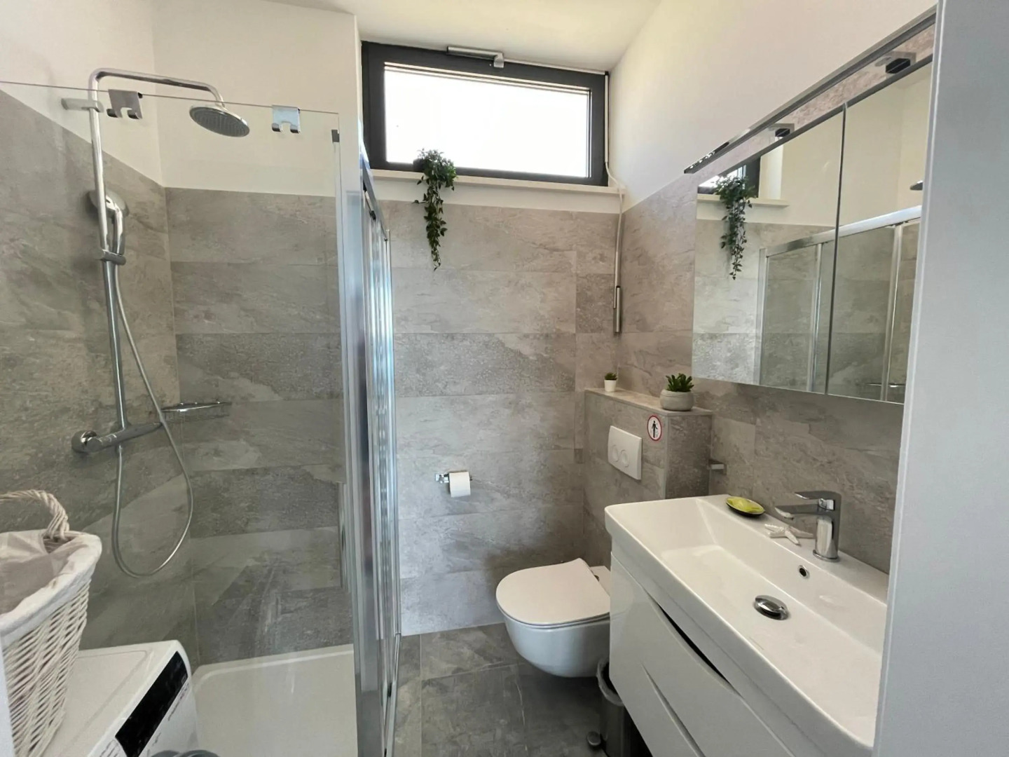 Palms & Beach Maslenica