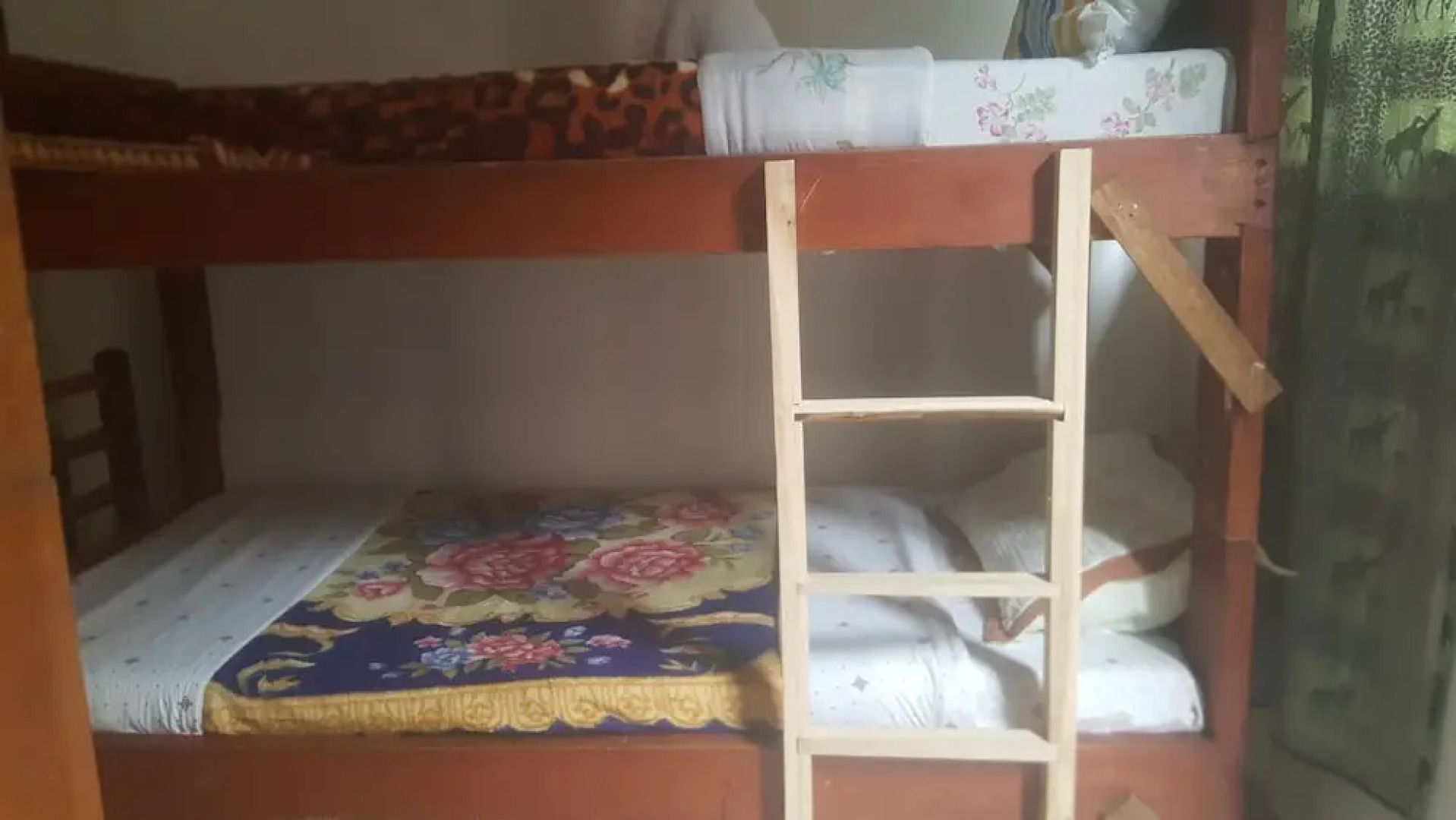 Golden monkey guest house