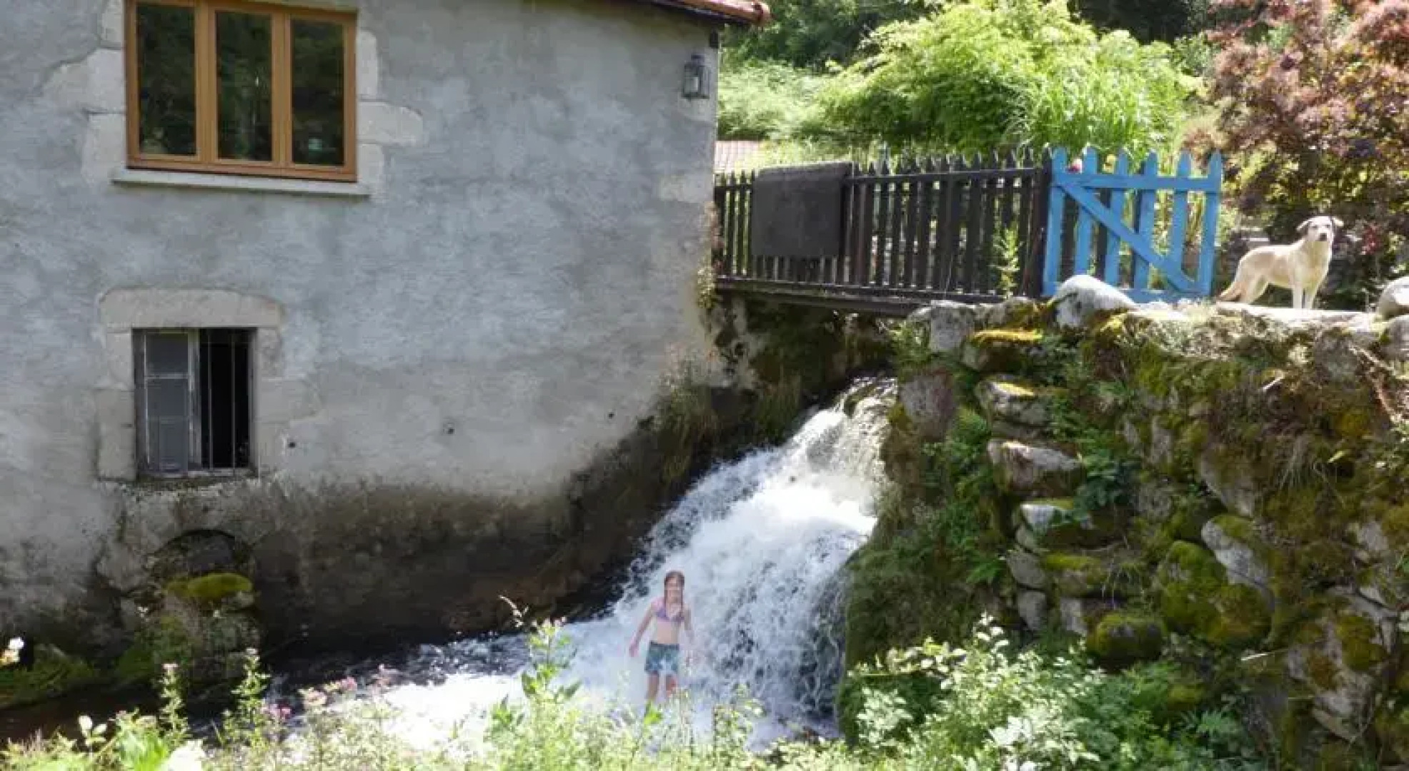 Le Moulin Gitenay - Gite