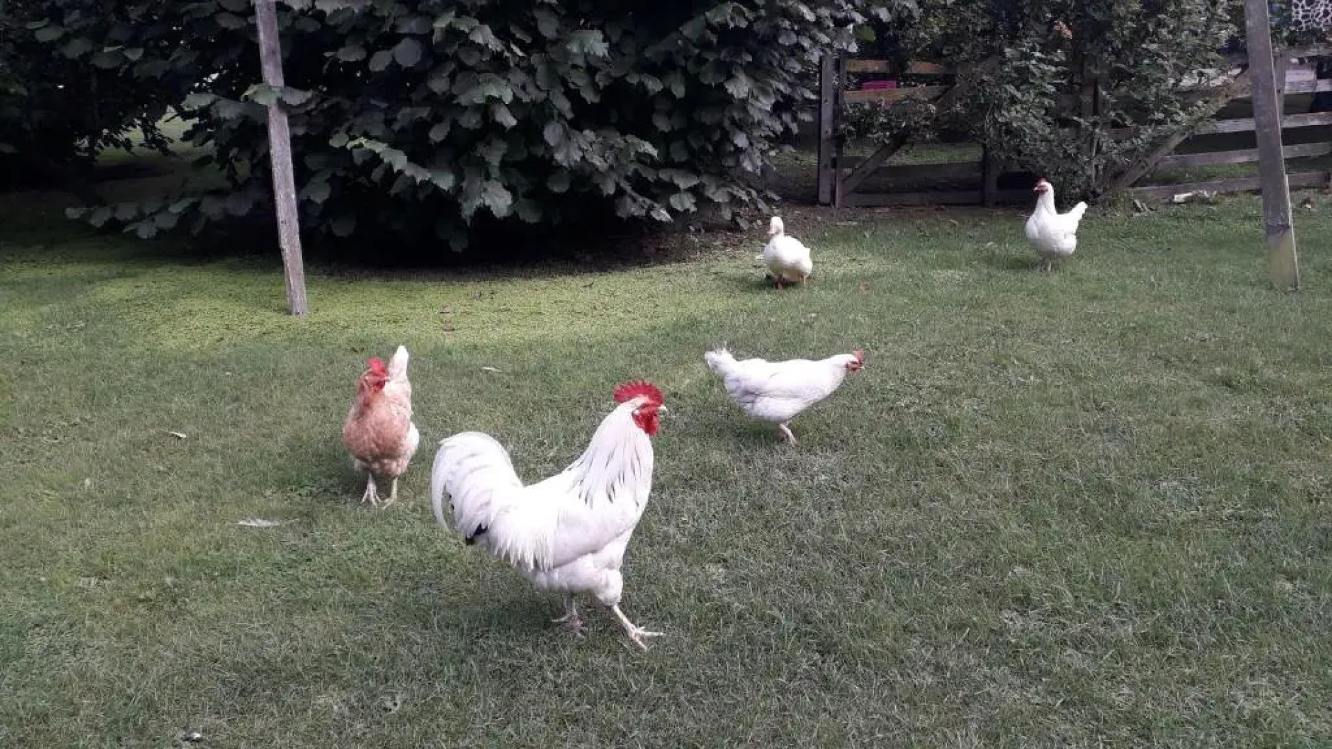 Western House B&B Kurow