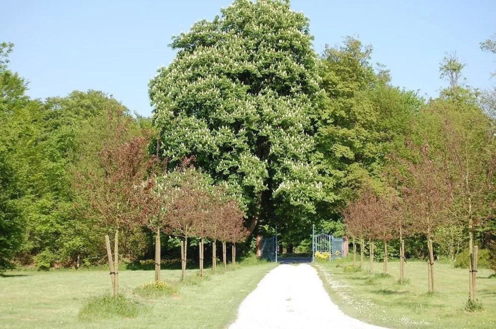 Manoir De La Plane B&B