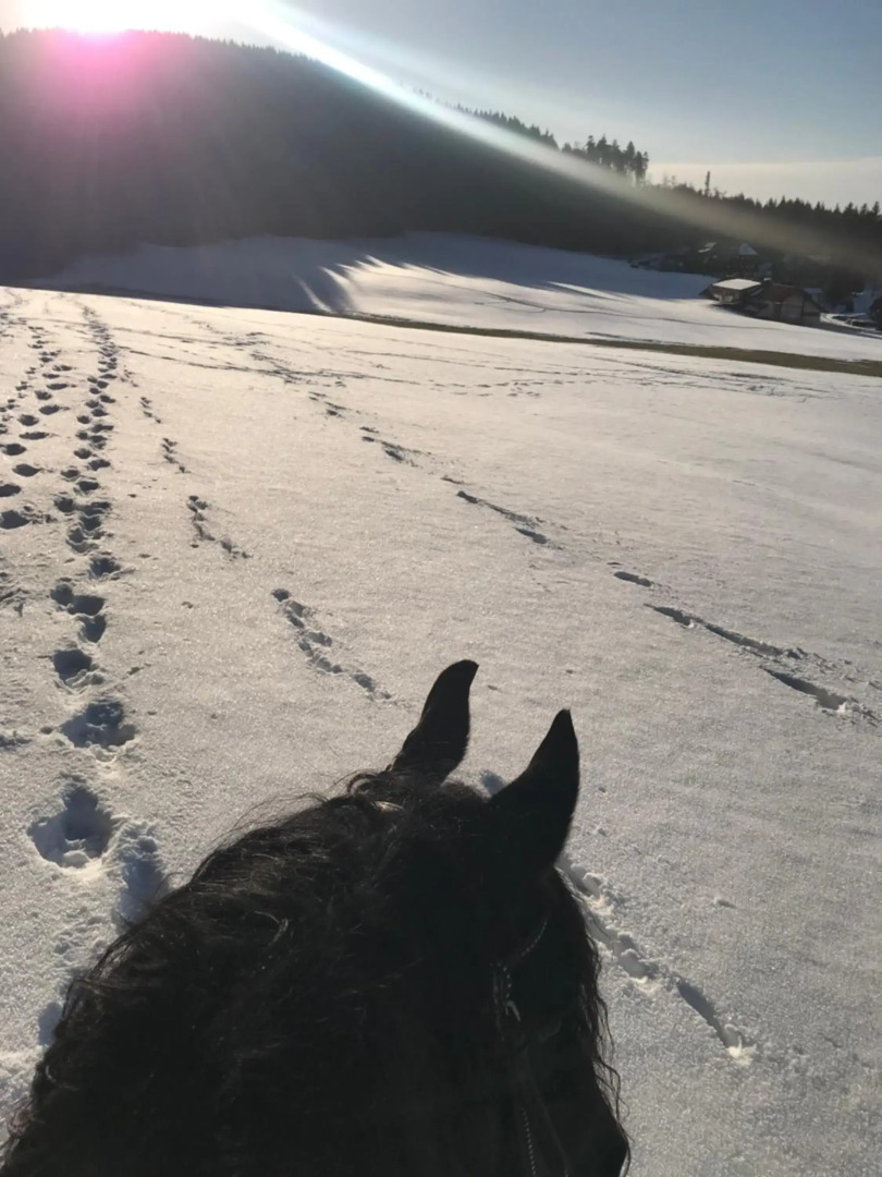 Hochkopfhaus zum Auerhahn