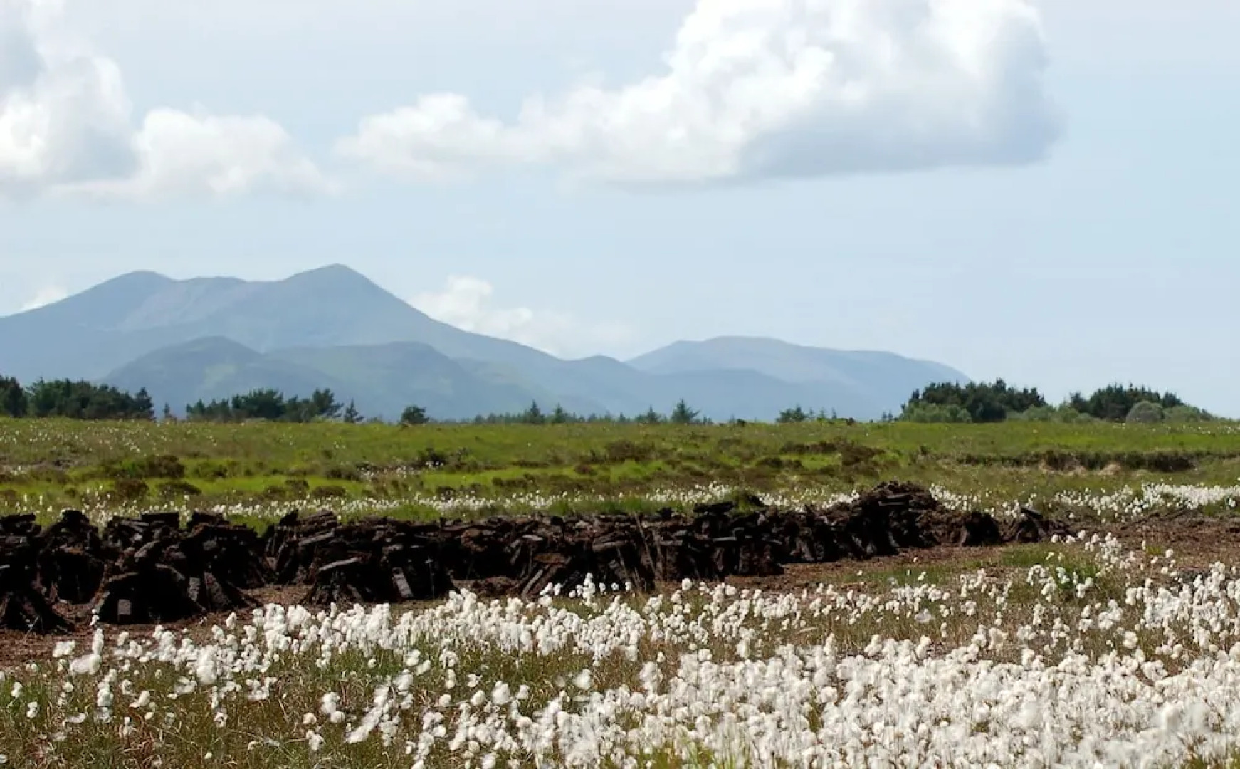 The Grove Lodge Guesthouse & Country Club