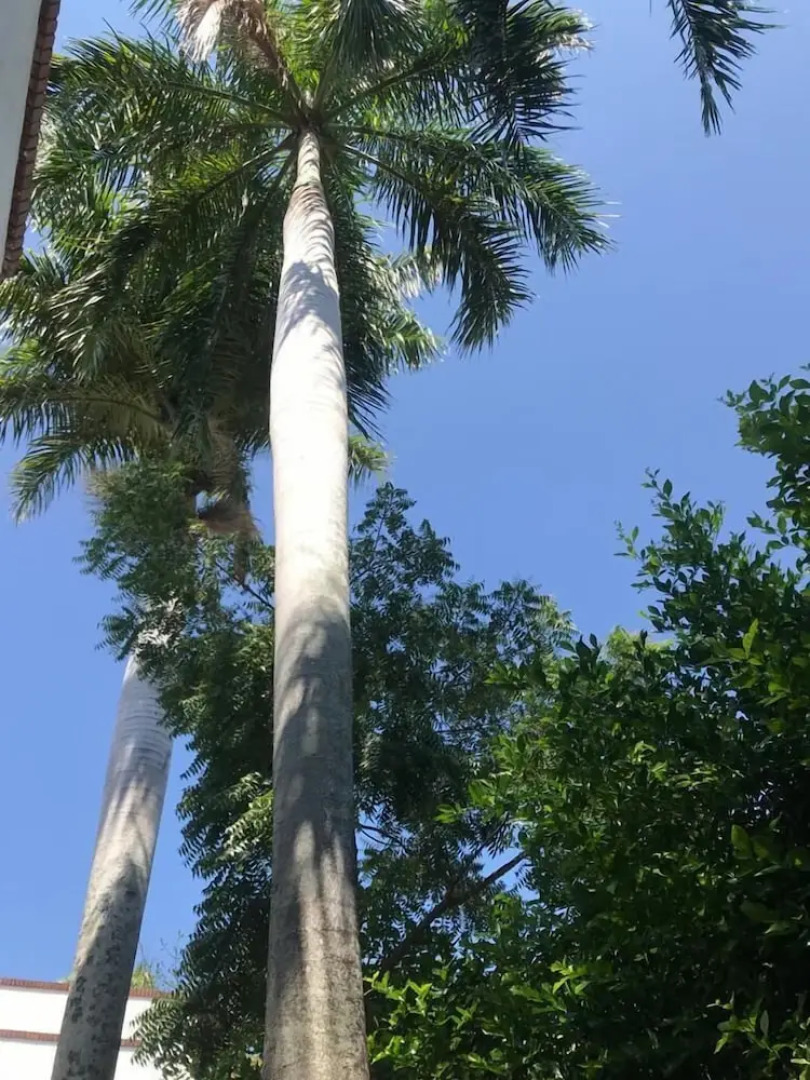 San Angel Hotel Boutique