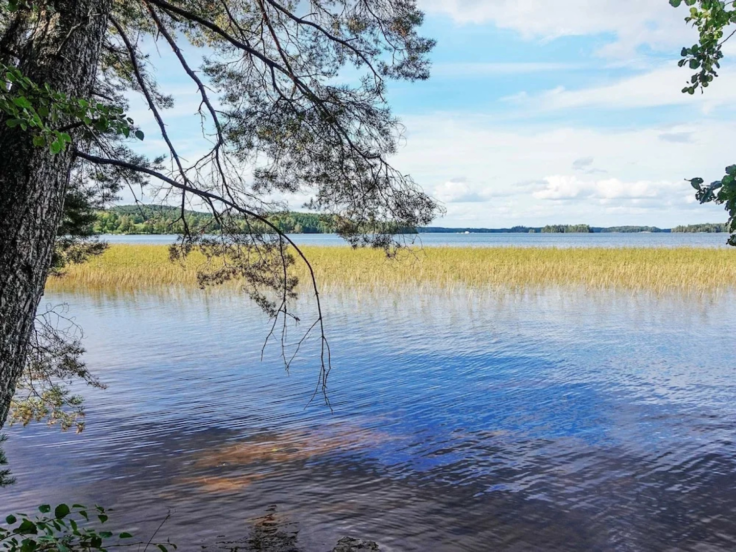 4 Person Holiday Home in Rimforsa