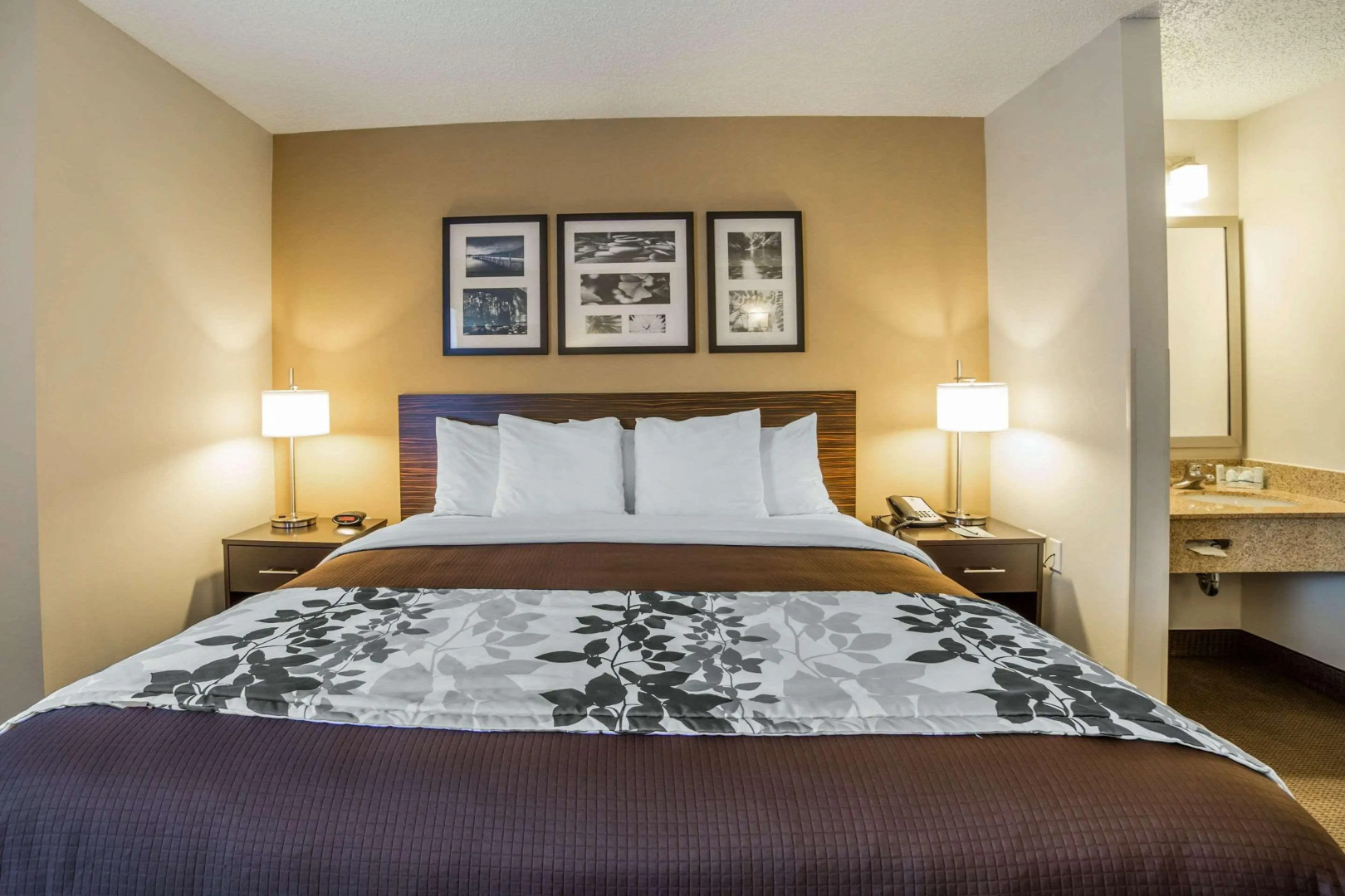 Sleep Inn Provo near University