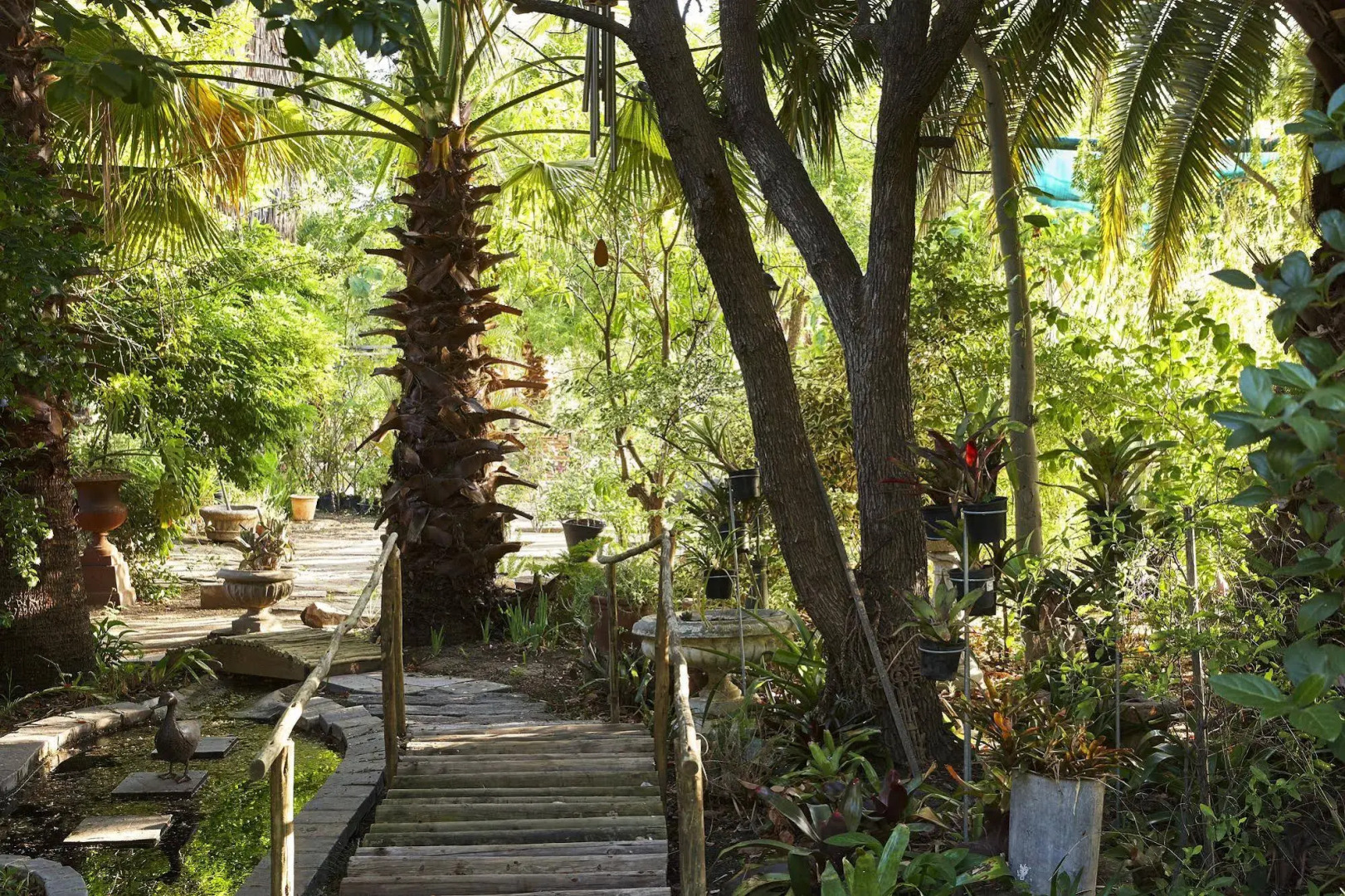 Yellow Aloe Guesthouse