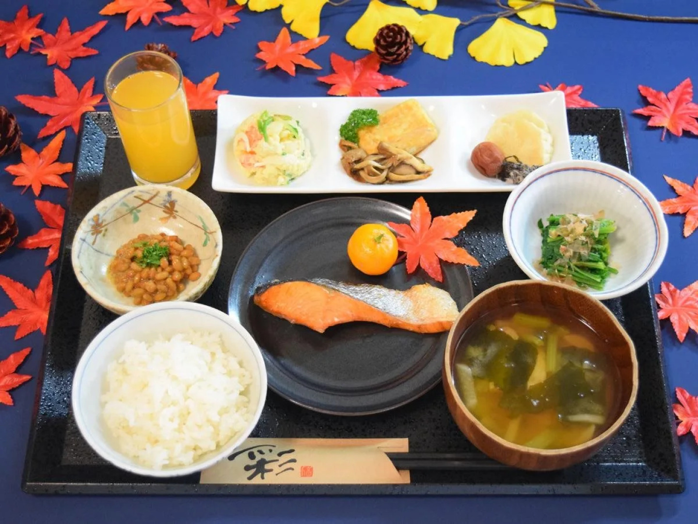 Togari Onsen Alpen Plaza