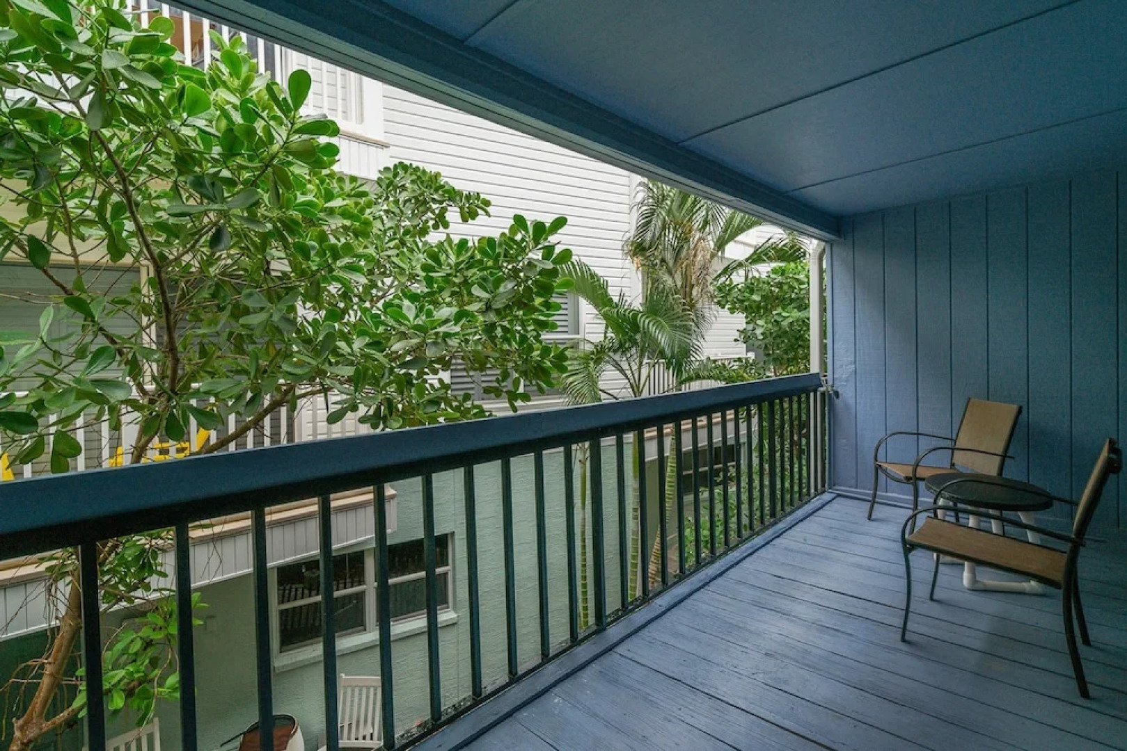 Seashell 19 by Vtrips