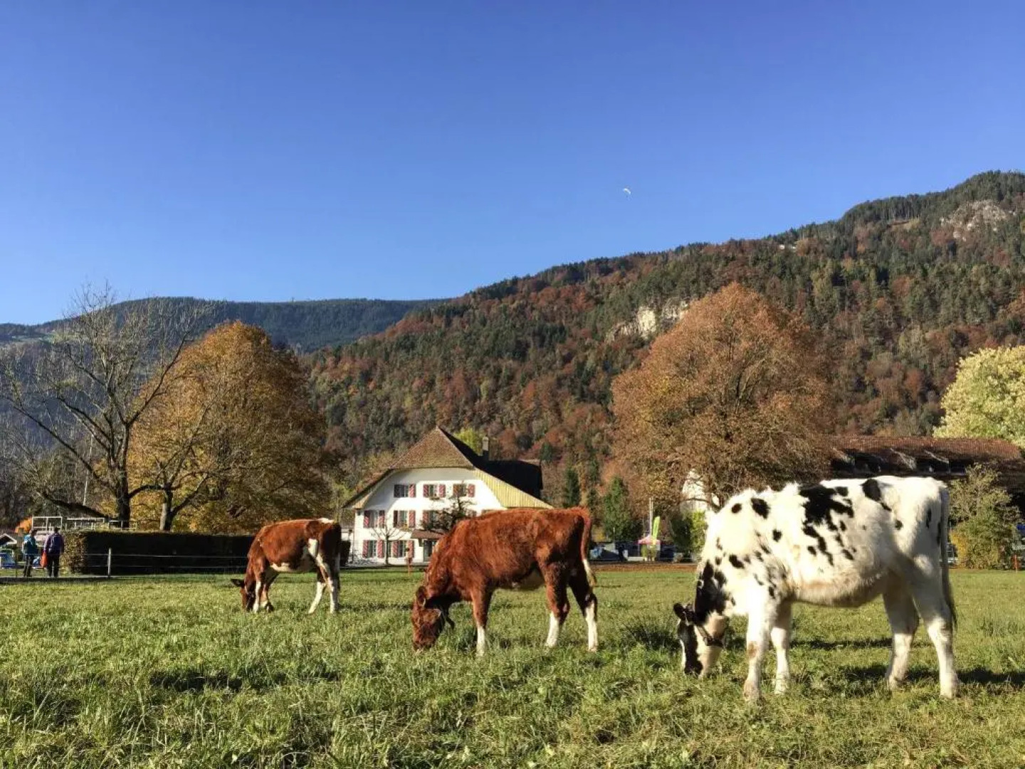 Neuhaus Golf- & Strandhotel