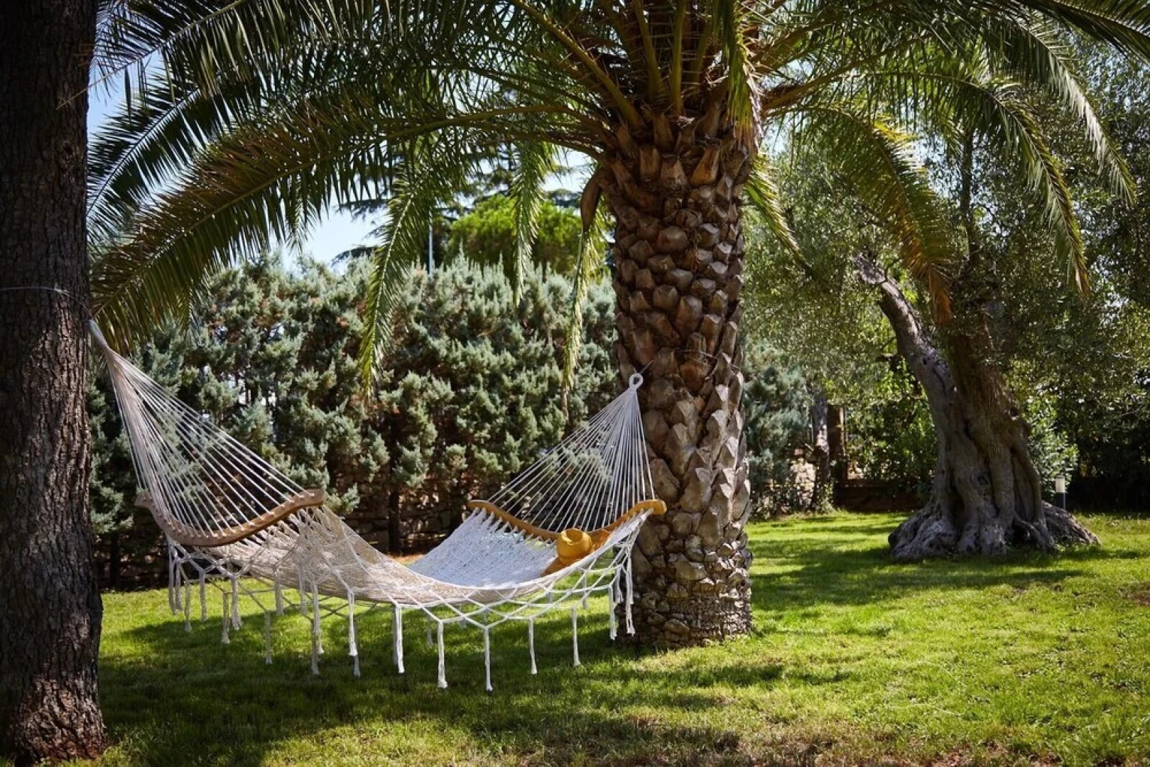 B B D Aprile Camera Camelia