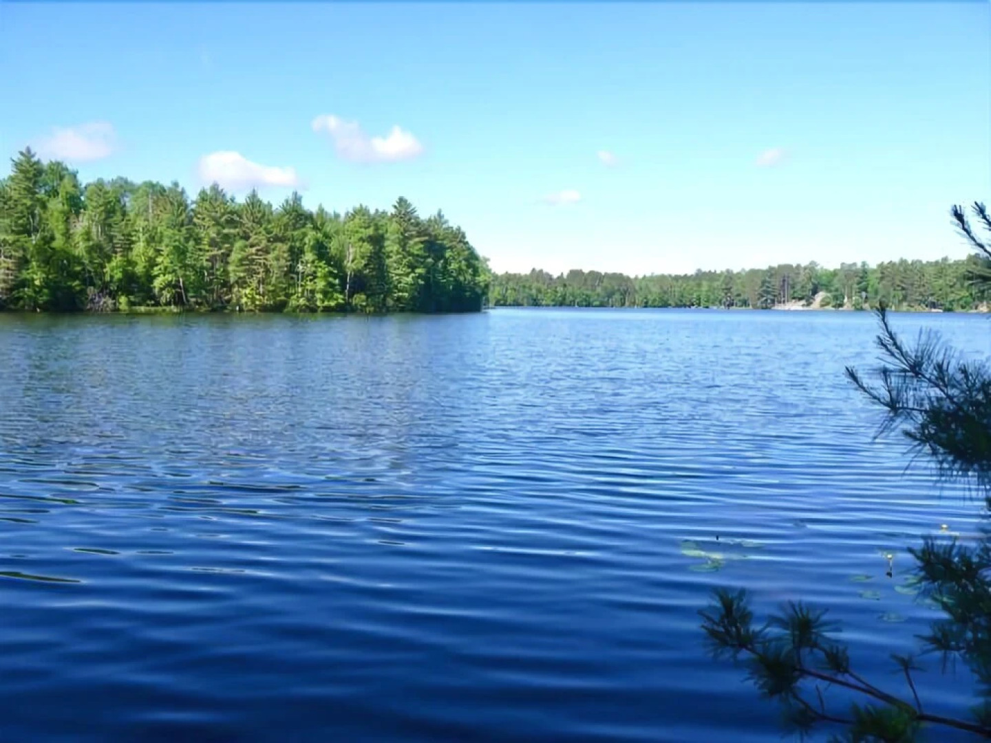 WhiteWoods Cove - 4 Br Home