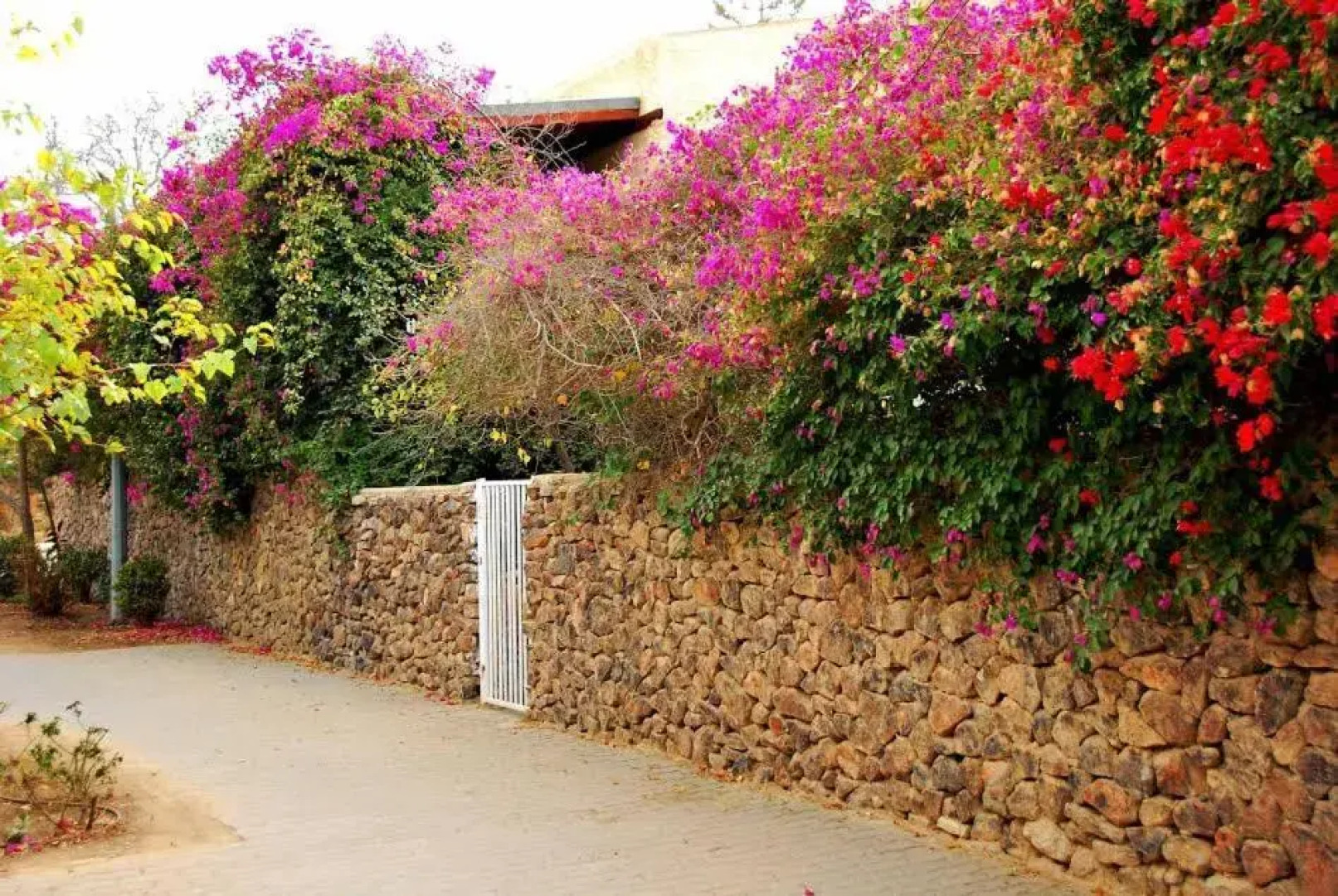 LeSaNel - Guest House