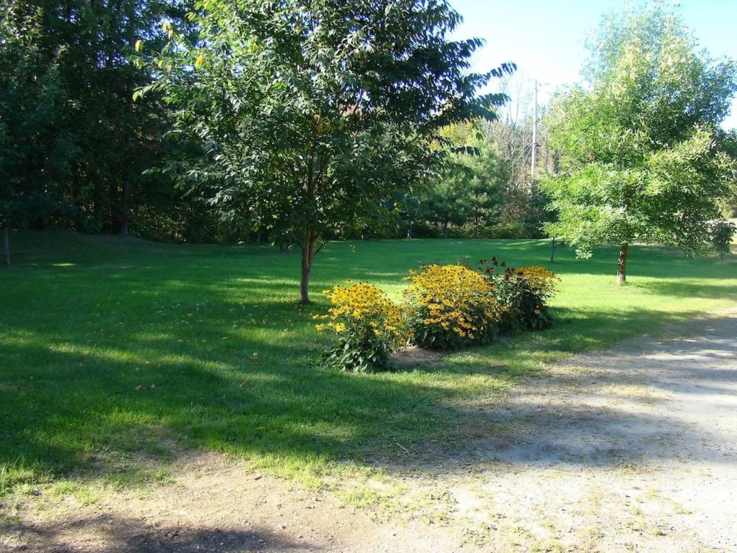 Danielle L. Savard Gite