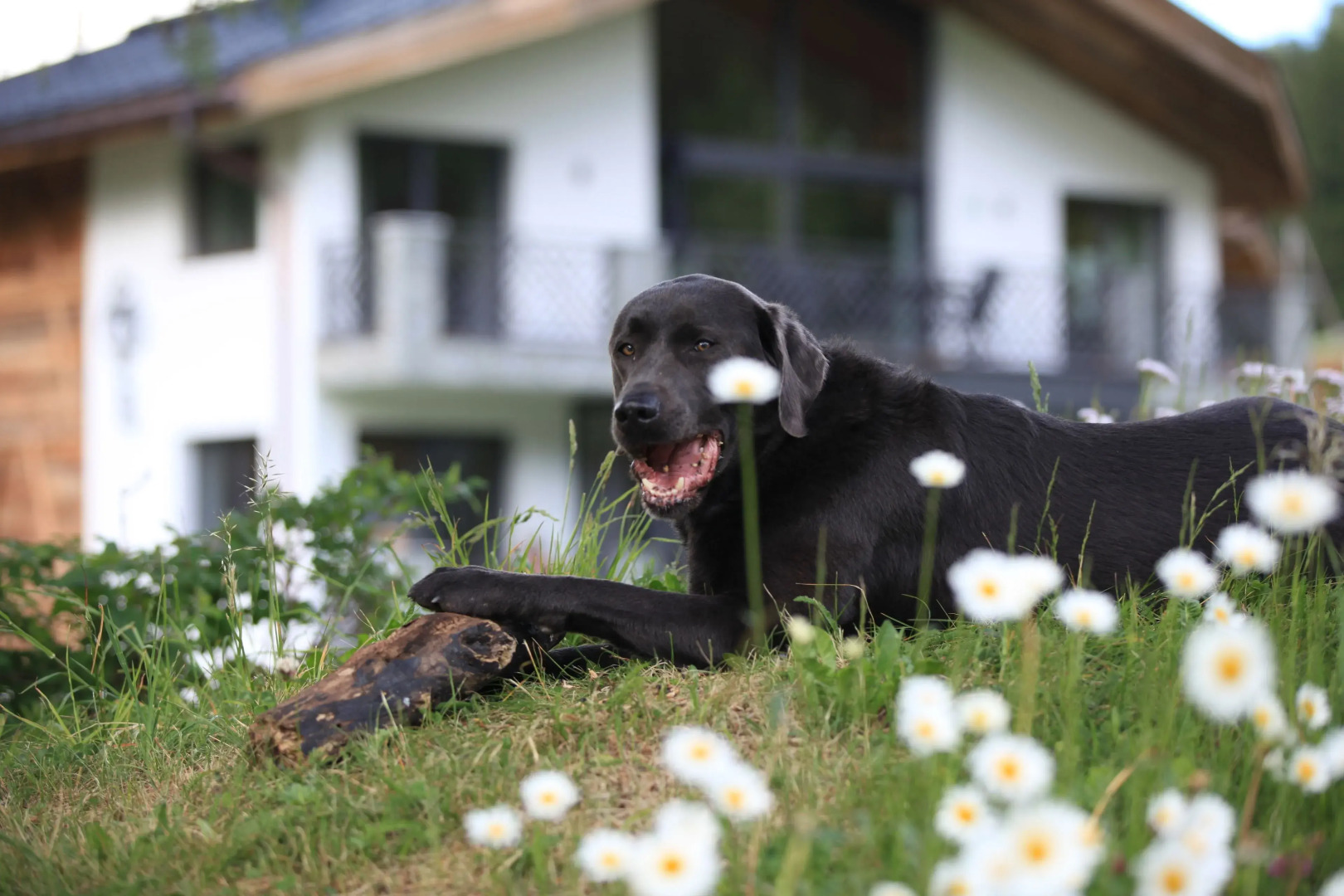 Wellnesshotel Engadin