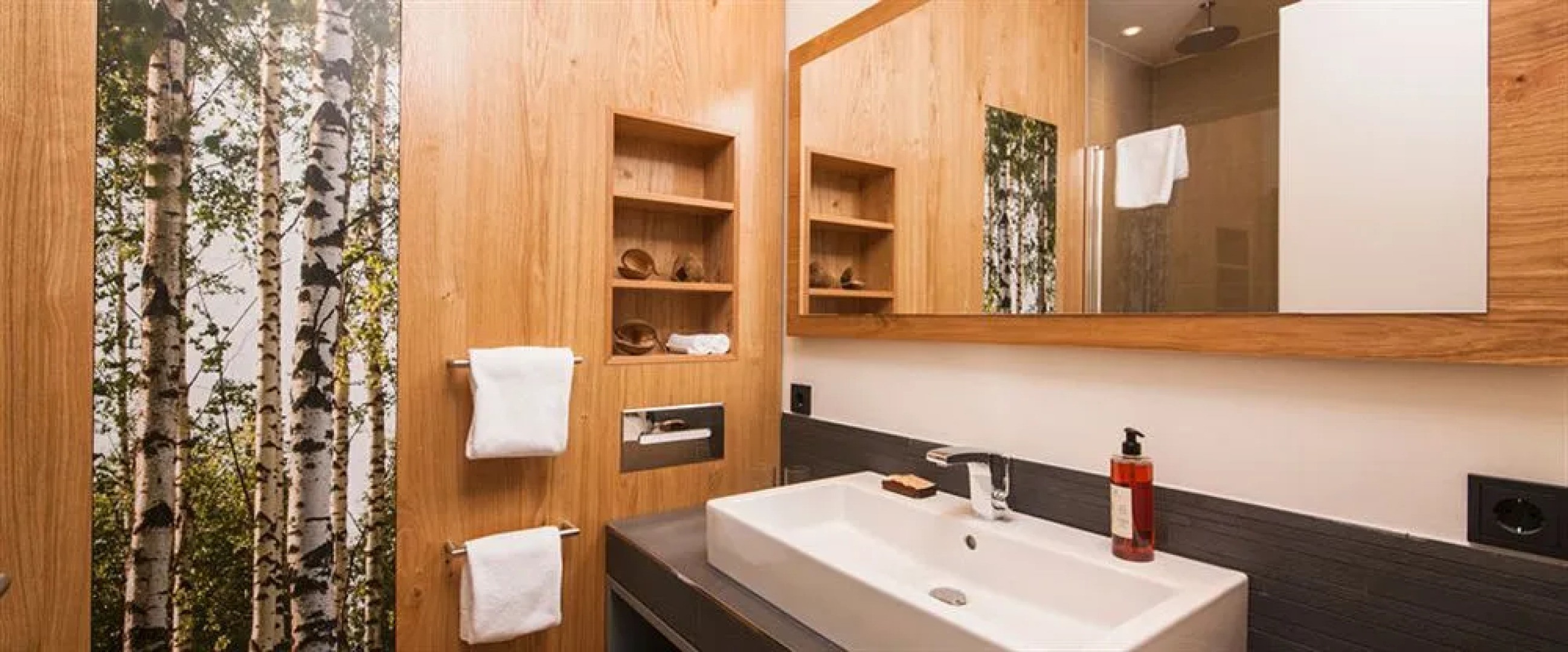 Panorama Hotel Aschberg