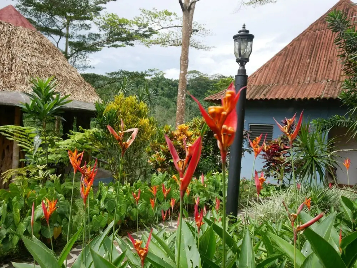 Villa Tavida Lodge