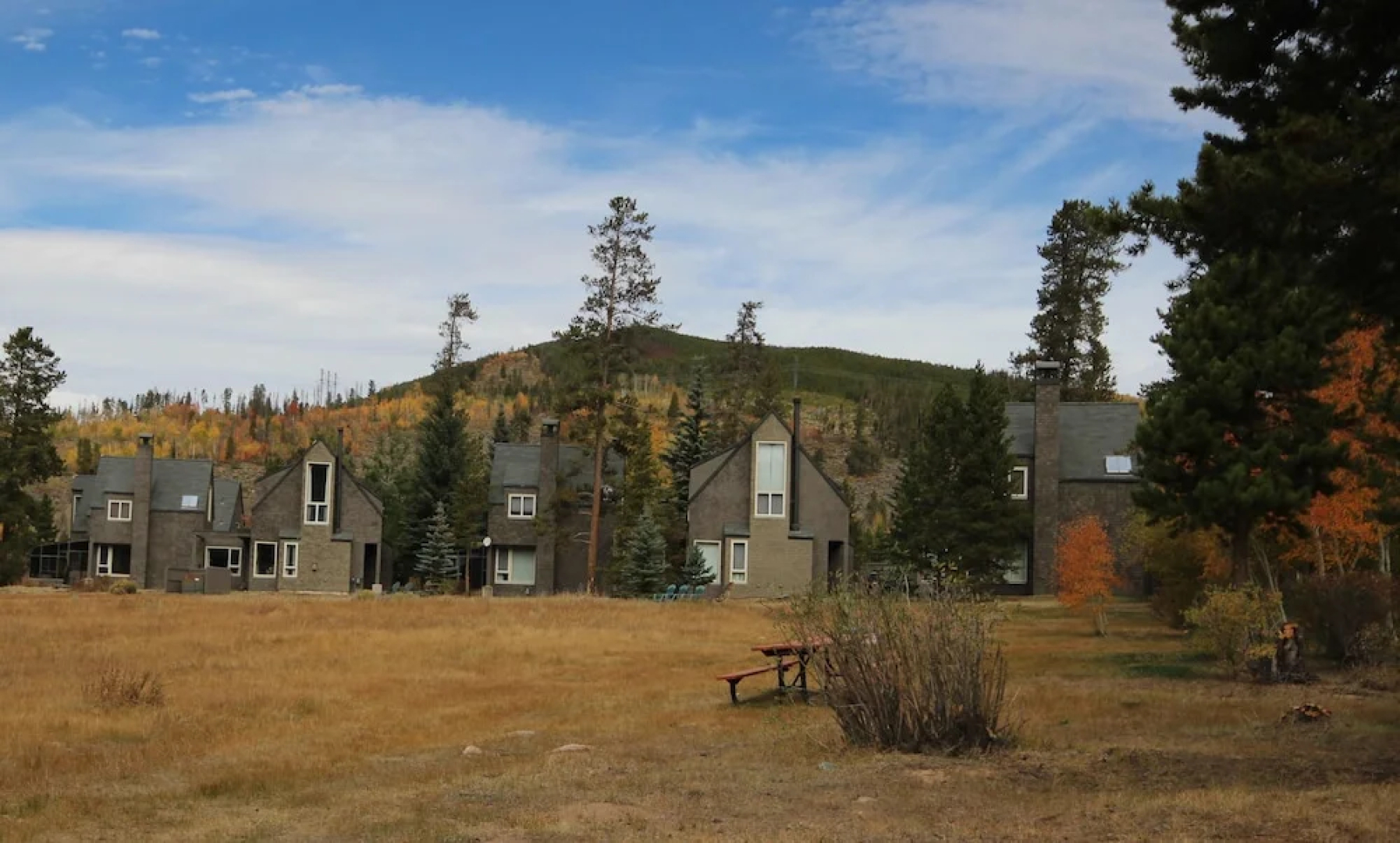 Pines 2133
