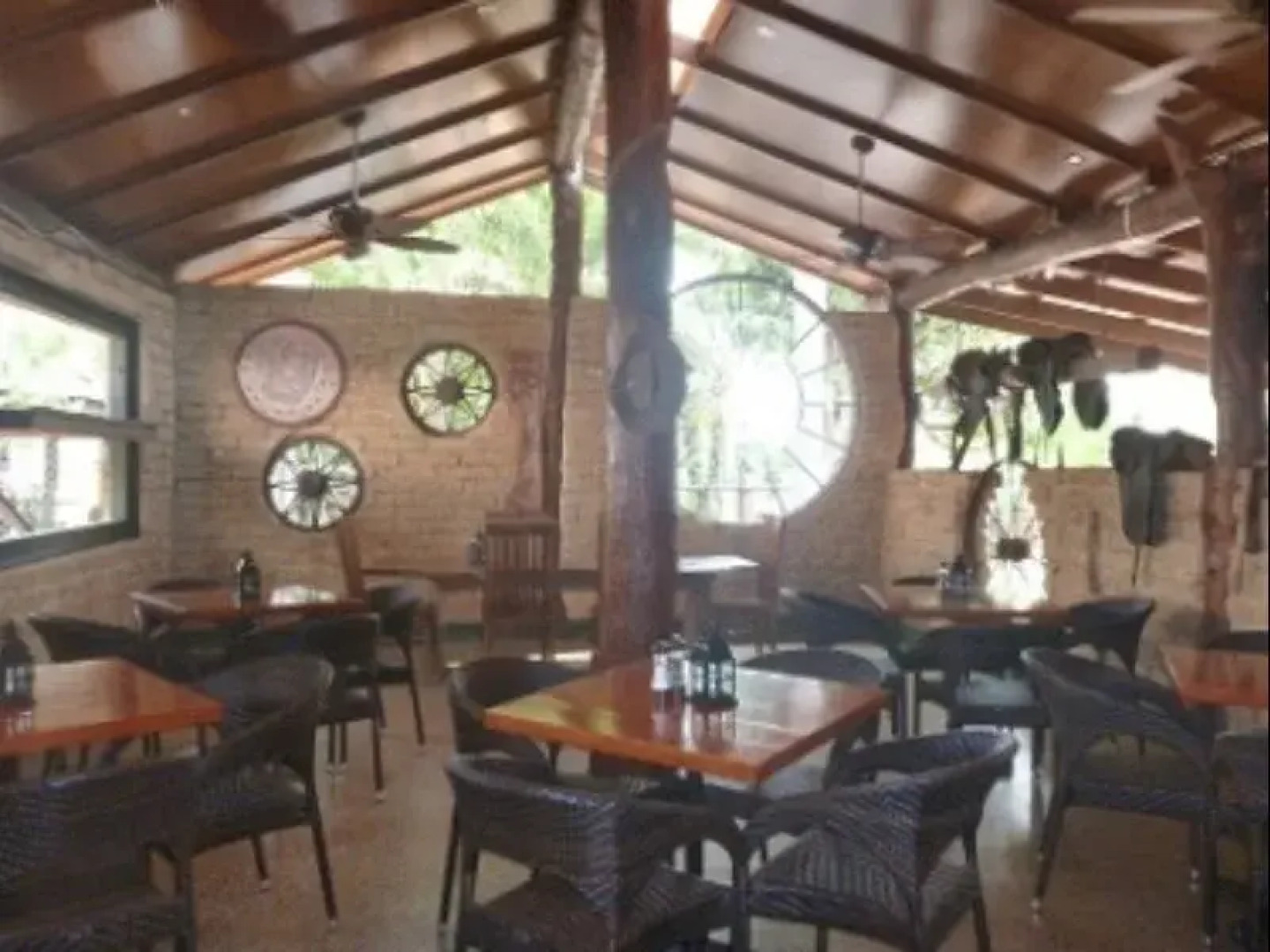 Lazy Lizard Tavern and Caravan Park Cabins