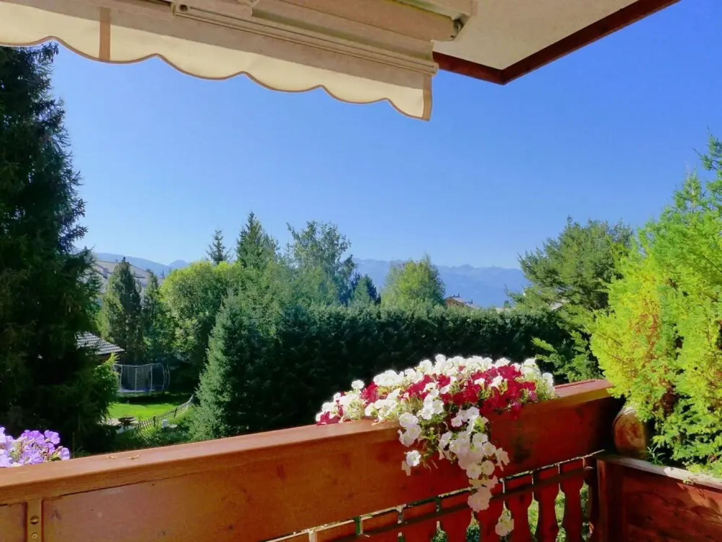 Soldanella Lens in Lens