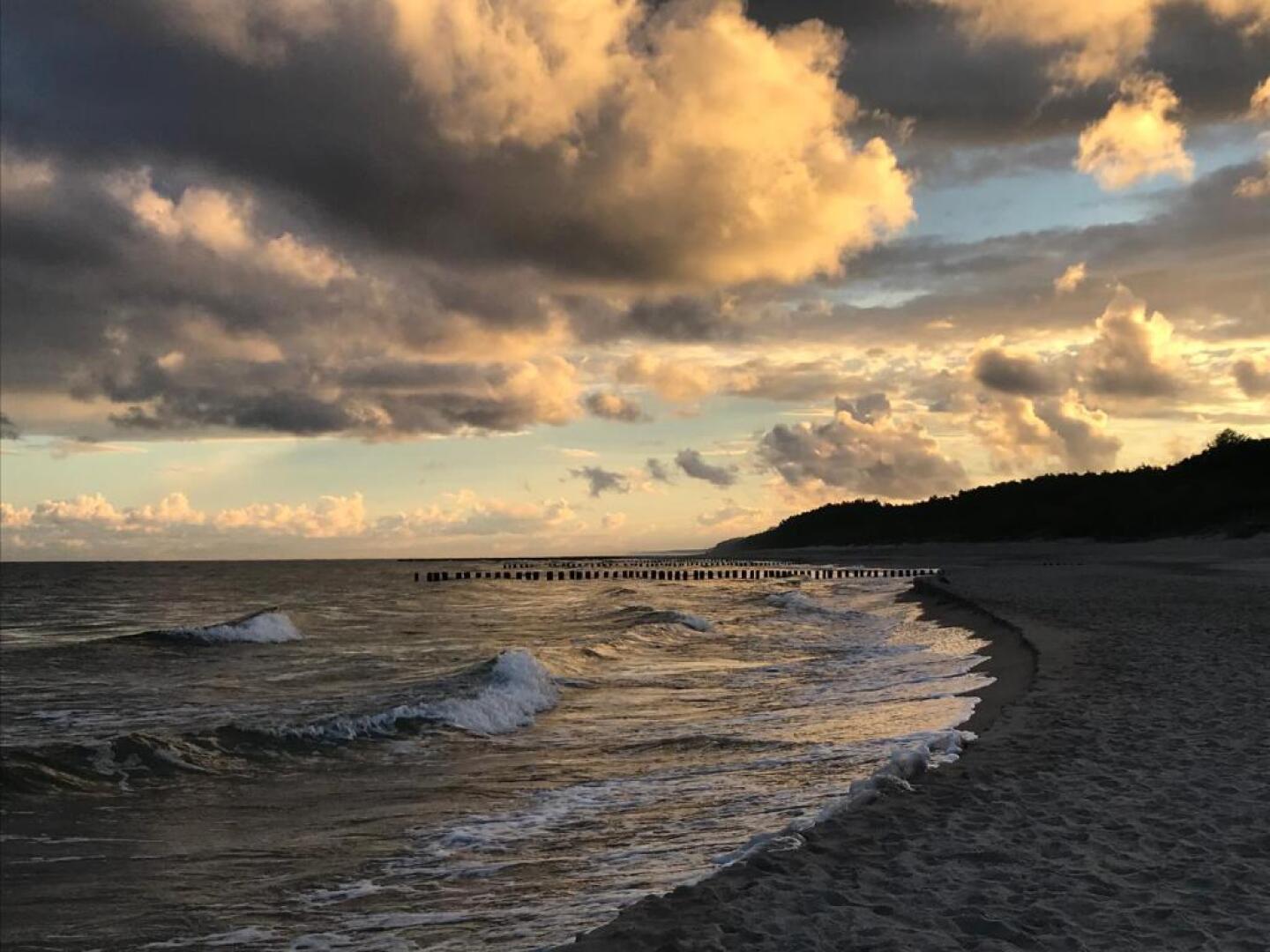 Lux Apartamenty - Rybitwa