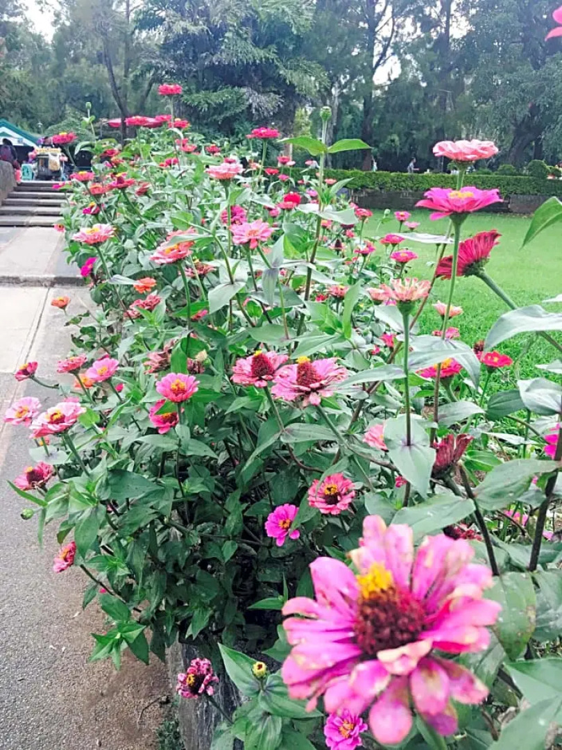 The Courtyards Goshen