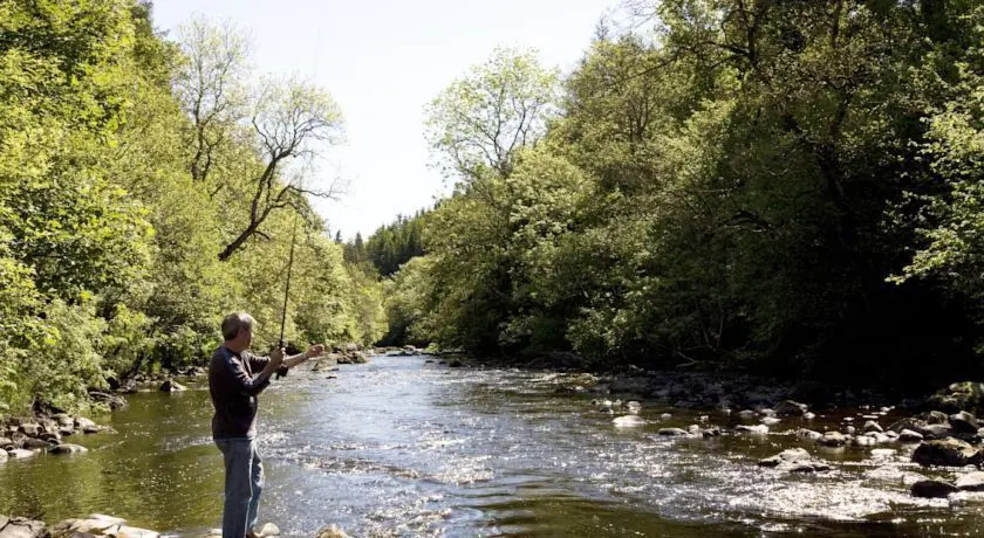 Corriefodly Holiday Park