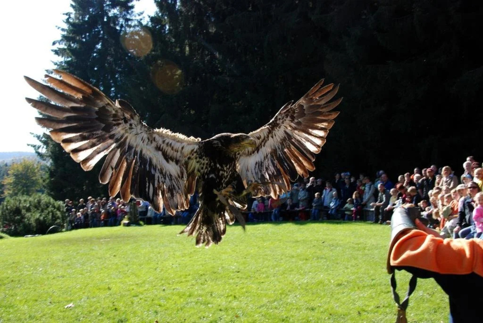 Jugendherberge Hellenthal