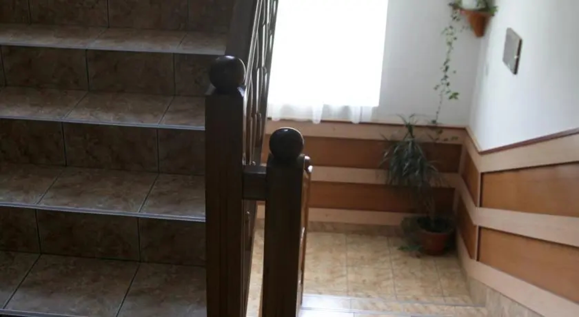 Napsugár