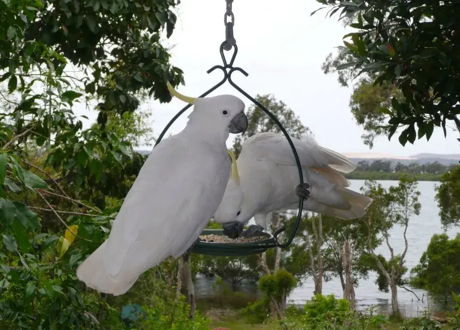 Yarrandabbi Dreaming Boutique B&B