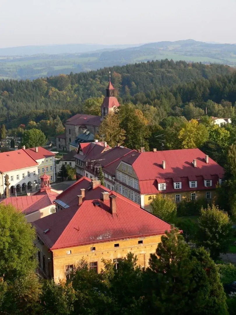 Zacler Kzf030 in acl r