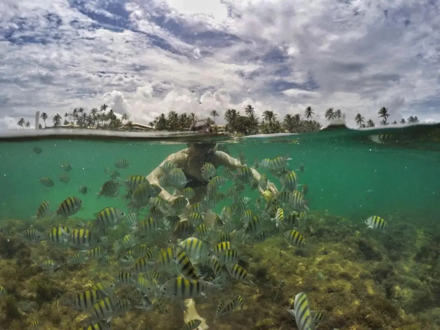Areia Azul Aparts Brazil - Imbassai Ykutiba