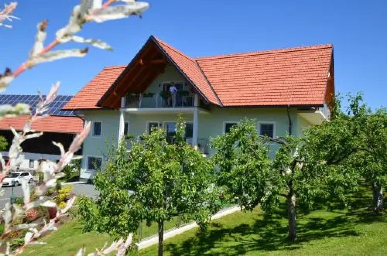 Weingut und Gästezimmer Zirngast