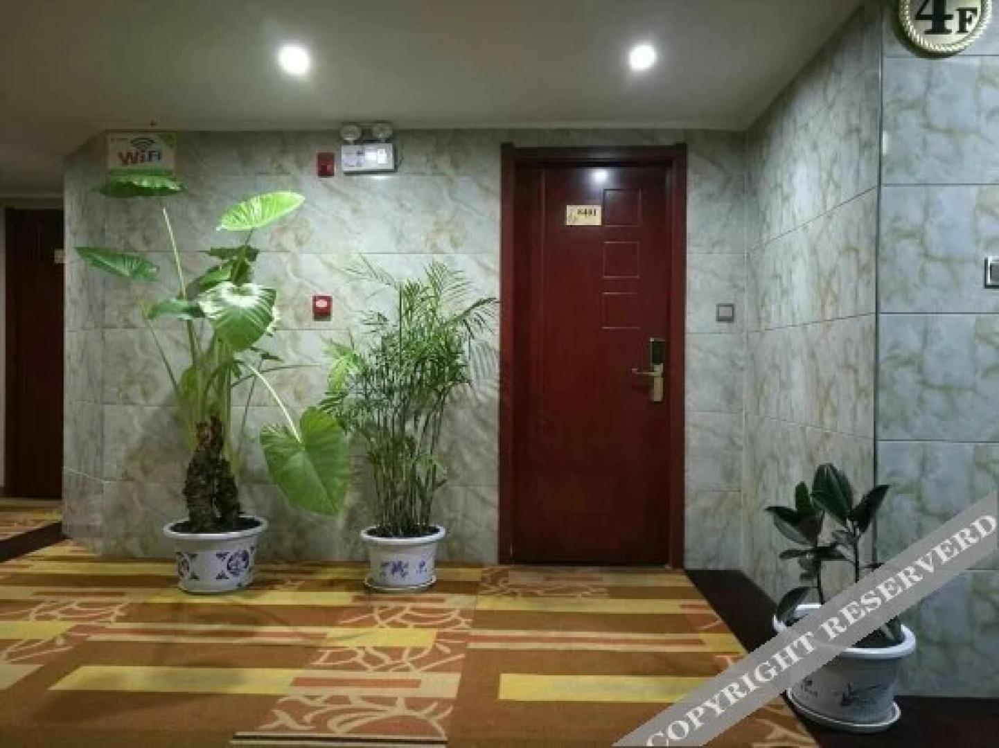 Super 8 Hotel (Luonan New Bus Station)