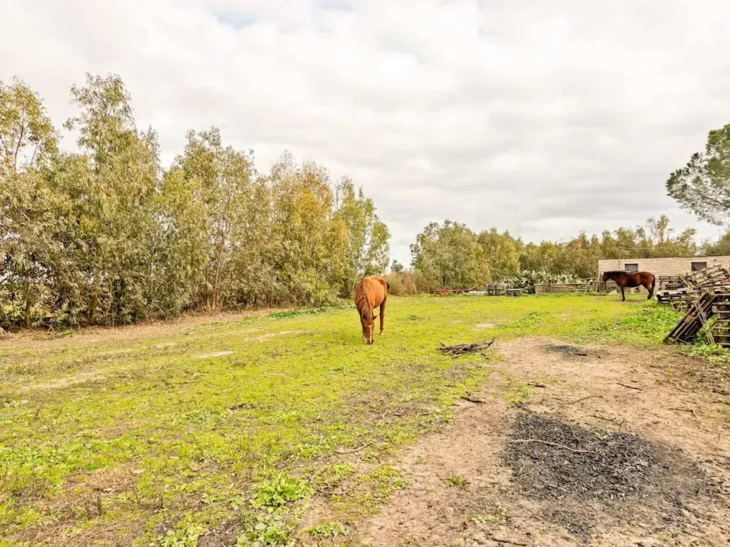 Homes in the Lagoons of Santa Giusta