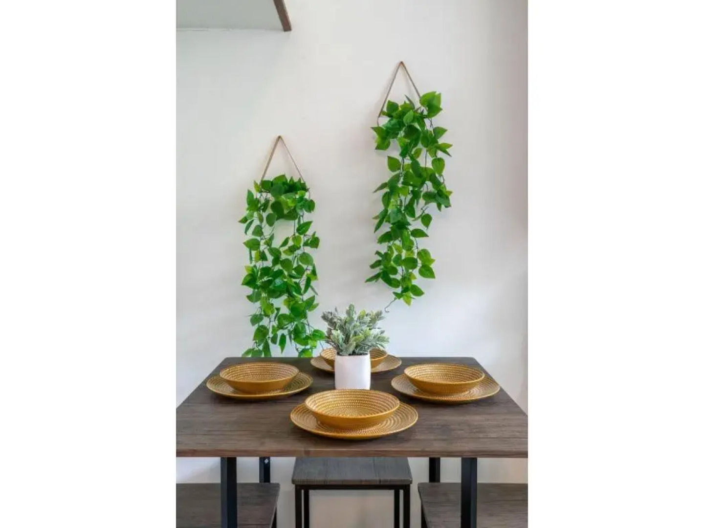 The Colour I 10 Minute To Royal Tyrrell I Sleeps 7