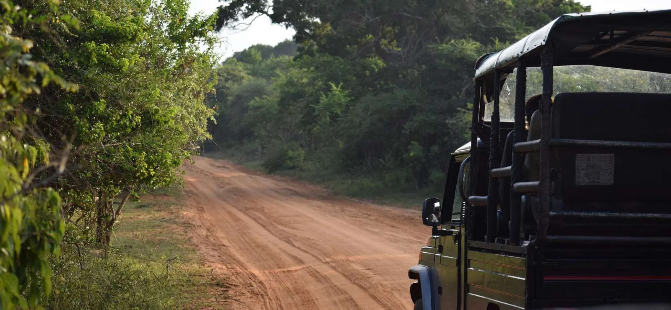 Jetwing Safari Camp - All Inclusive