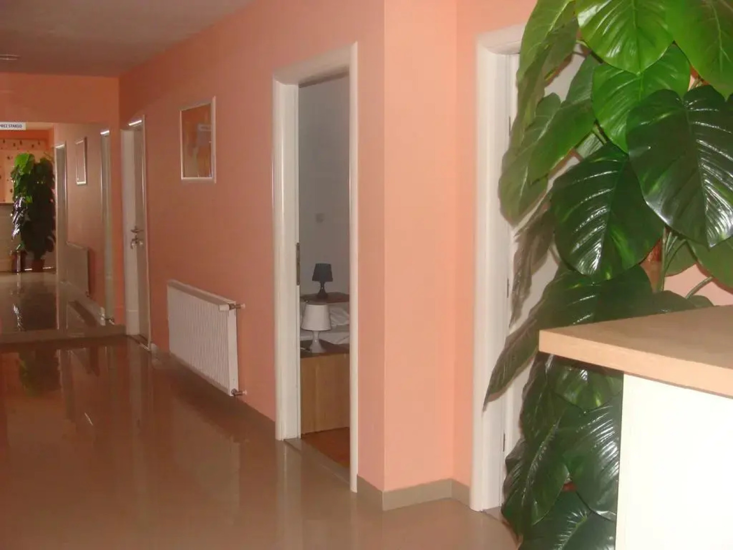 Guest house Lugarnica