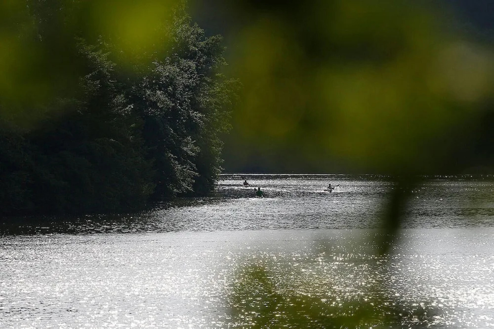 Landhaus-Wald-und-See-1