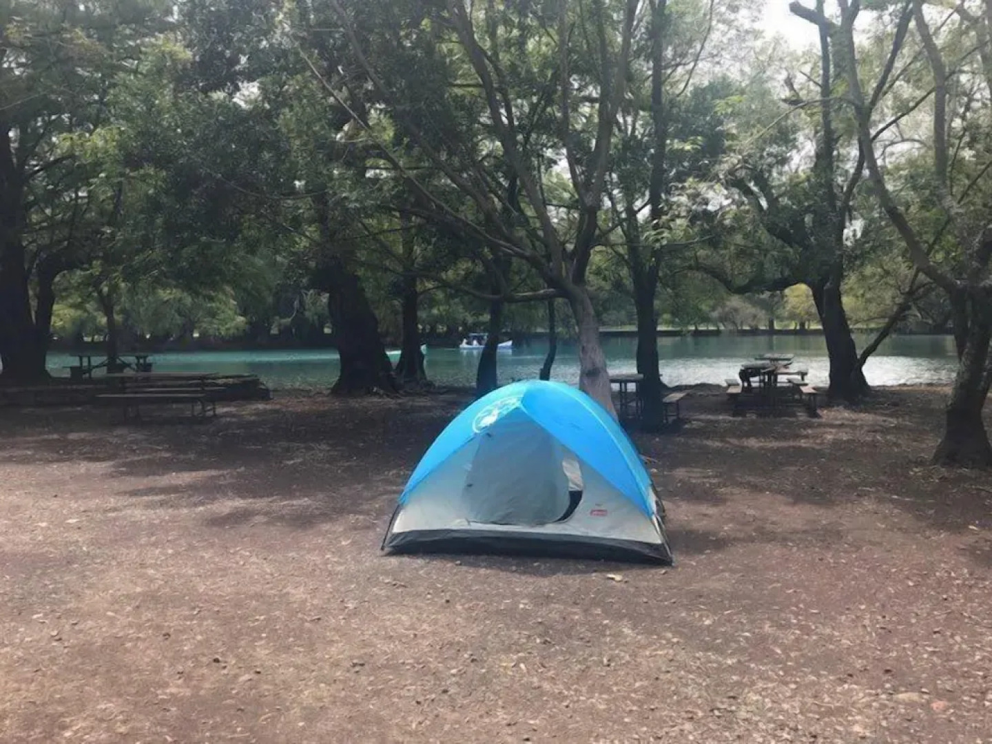 Anaya & Rodriguez Shop - Hostel