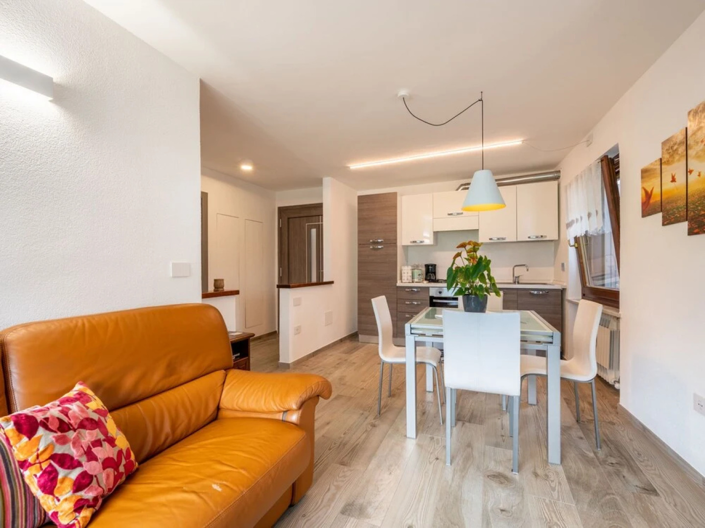 Cima Plan Felinaz-felinaz