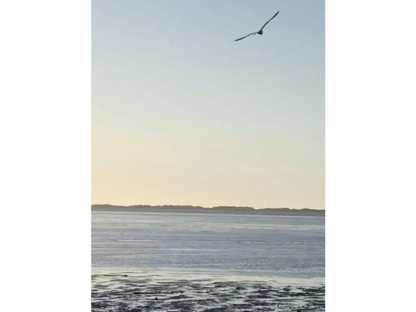 Elsewhere Comfortable Holiday Residence