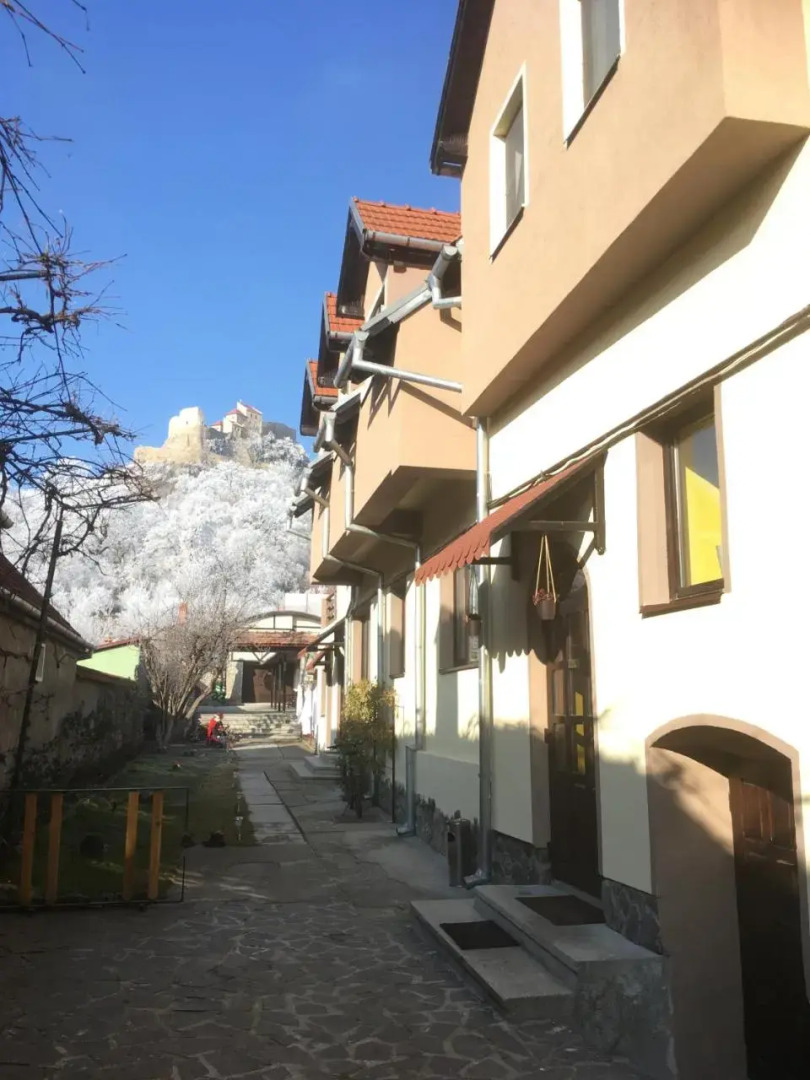 Pensiunea Michaels House