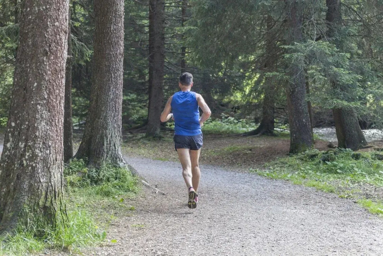 Hotel-Restaurant Bellevue