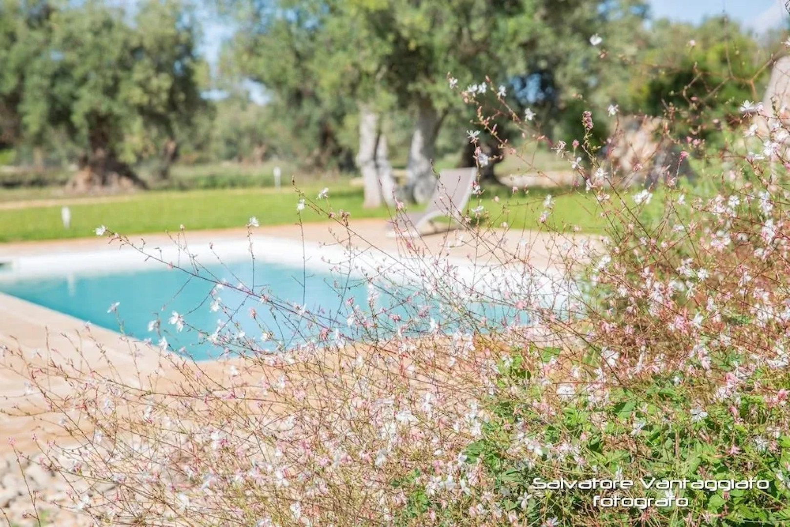 Azienda Agricola Spirdo